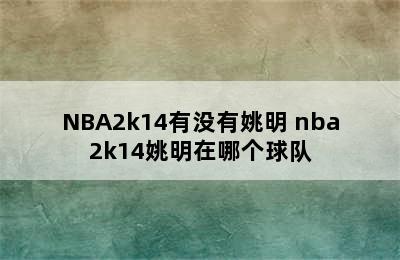 NBA2k14有没有姚明 nba2k14姚明在哪个球队